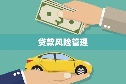 惠东贷款风险管理