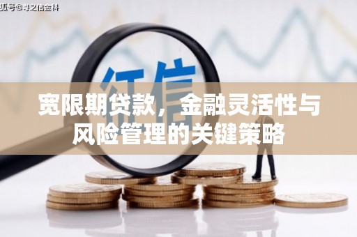 惠东宽限期贷款，金融灵活性与风险管理的关键策略