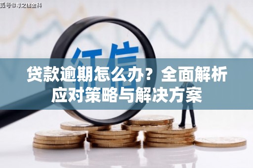 惠东贷款逾期怎么办？全面解析应对策略与解决方案