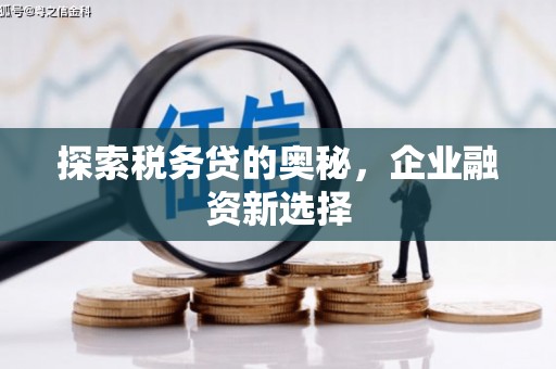 惠东探索税务贷的奥秘，企业融资新选择