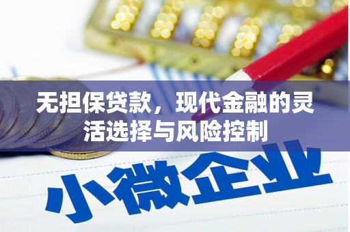 惠东无担保贷款，现代金融的灵活选择与风险控制