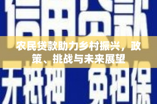 惠东农民贷款助力乡村振兴，政策、挑战与未来展望