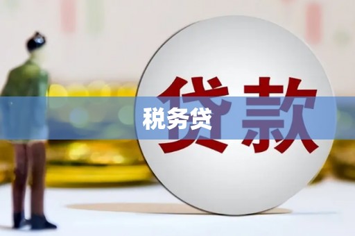 惠东税务贷