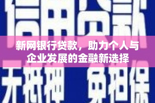 惠东新网银行贷款，助力个人与企业发展的金融新选择