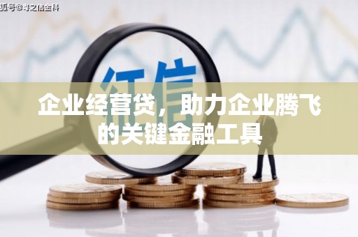 惠东企业经营贷，助力企业腾飞的关键金融工具