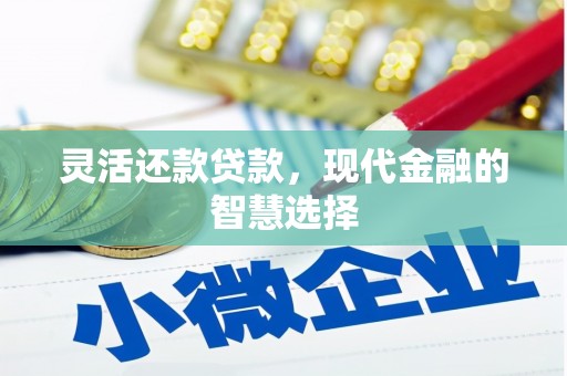 惠东灵活还款贷款，现代金融的智慧选择