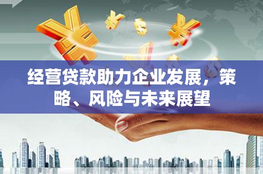惠东经营贷款助力企业发展，策略、风险与未来展望