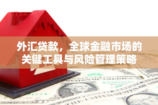 惠东外汇贷款，全球金融市场的关键工具与风险管理策略