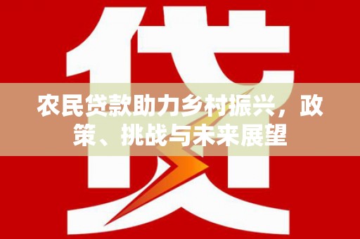 惠东农民贷款助力乡村振兴，政策、挑战与未来展望