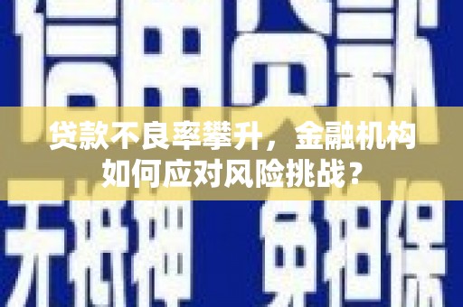 惠东贷款不良率攀升，金融机构如何应对风险挑战？