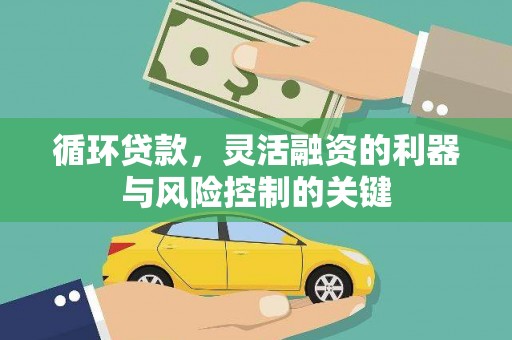 惠东循环贷款，灵活融资的利器与风险控制的关键