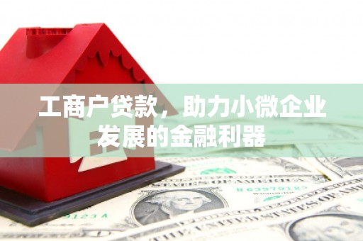 惠东工商户贷款，助力小微企业发展的金融利器