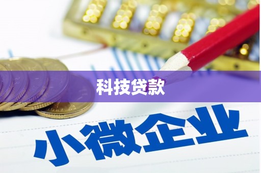 惠东科技贷款