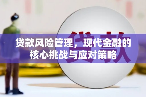 惠东贷款风险管理，现代金融的核心挑战与应对策略