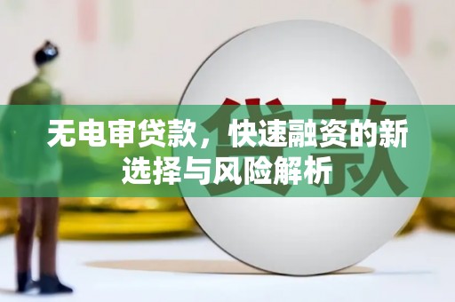 惠东无电审贷款，快速融资的新选择与风险解析