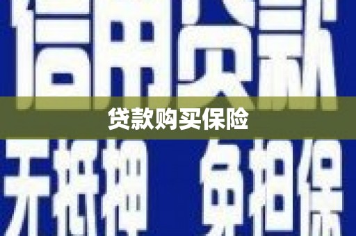 惠东贷款购买保险