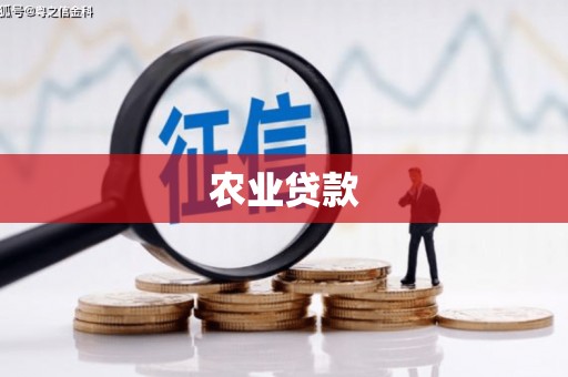 惠东农业贷款