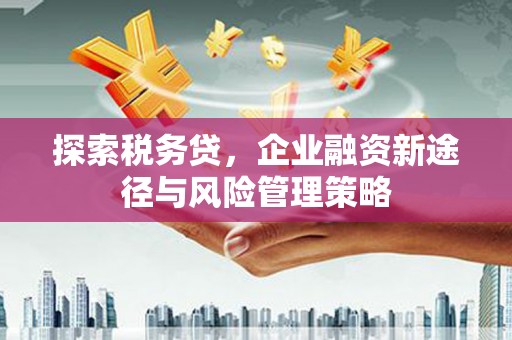 惠东探索税务贷，企业融资新途径与风险管理策略