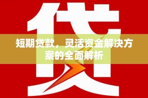 惠东短期贷款，灵活资金解决方案的全面解析