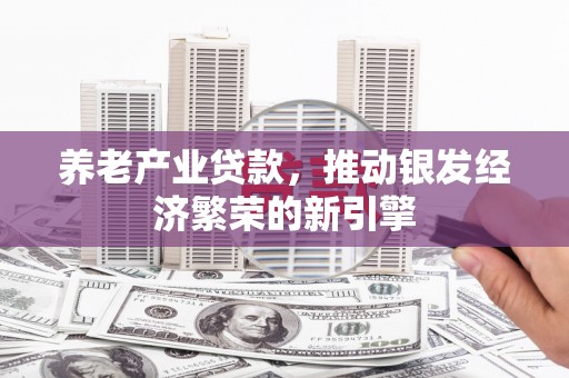 惠东养老产业贷款，推动银发经济繁荣的新引擎