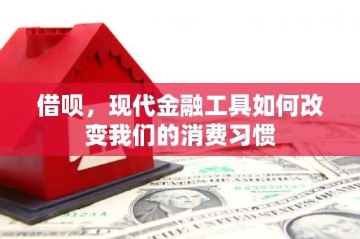 惠东借呗，现代金融工具如何改变我们的消费习惯