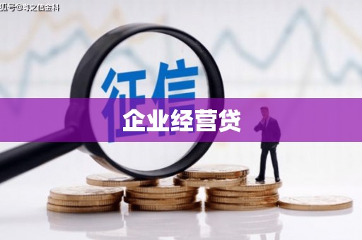 惠东企业经营贷