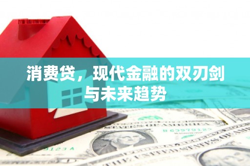 惠东消费贷，现代金融的双刃剑与未来趋势