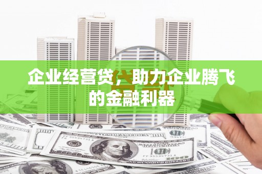 惠东企业经营贷，助力企业腾飞的金融利器