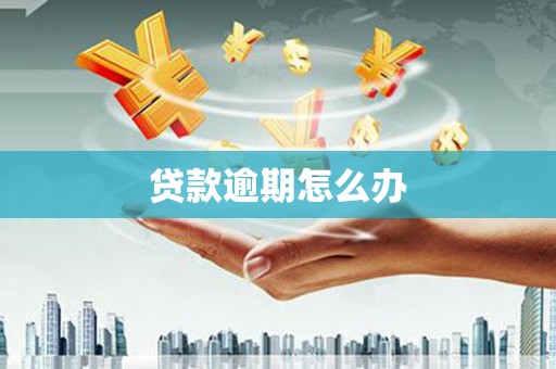 惠东贷款逾期怎么办