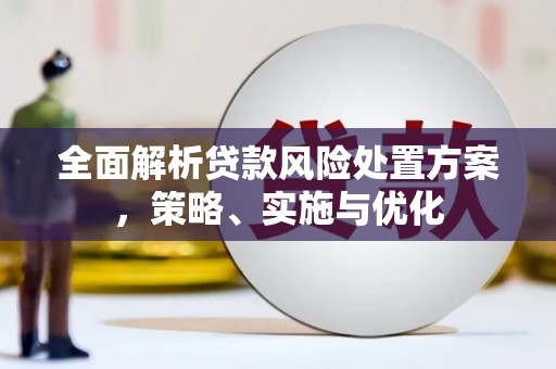 惠东全面解析贷款风险处置方案，策略、实施与优化