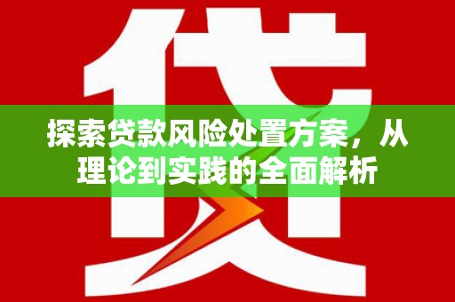 惠东探索贷款风险处置方案，从理论到实践的全面解析