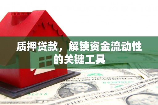 惠东质押贷款，解锁资金流动性的关键工具