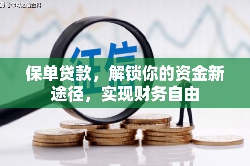 惠东保单贷款，解锁你的资金新途径，实现财务自由