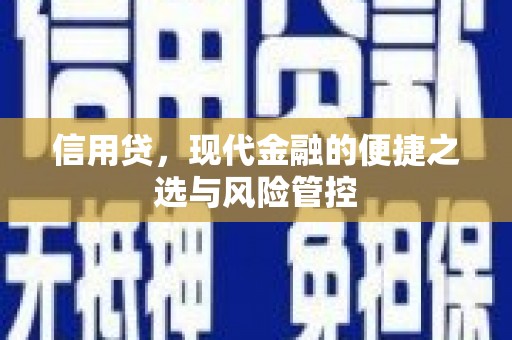 惠东信用贷，现代金融的便捷之选与风险管控