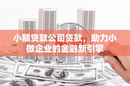 惠东小额贷款公司贷款，助力小微企业的金融新引擎