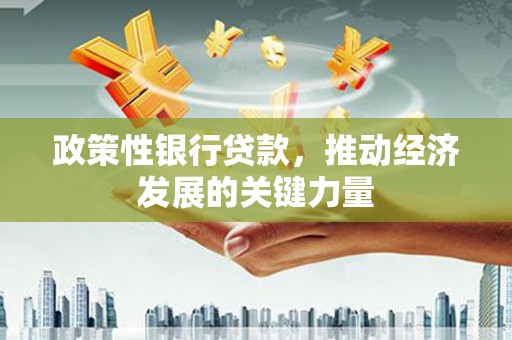 惠东政策性银行贷款，推动经济发展的关键力量