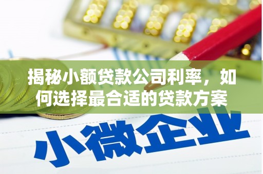 惠东揭秘小额贷款公司利率，如何选择最合适的贷款方案