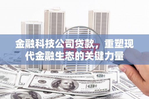 惠东金融科技公司贷款，重塑现代金融生态的关键力量