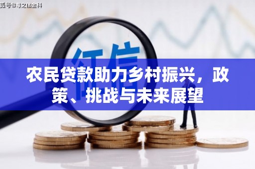 惠东农民贷款助力乡村振兴，政策、挑战与未来展望