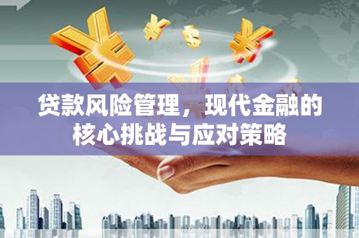 惠东贷款风险管理，现代金融的核心挑战与应对策略