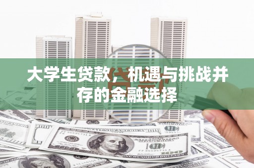 惠东大学生贷款，机遇与挑战并存的金融选择