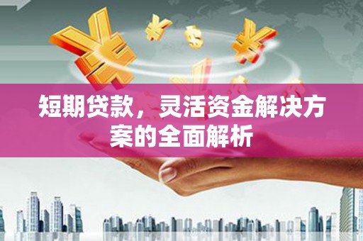 惠东短期贷款，灵活资金解决方案的全面解析
