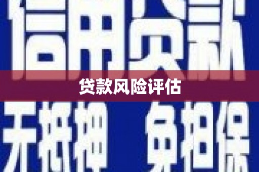 惠东贷款风险评估