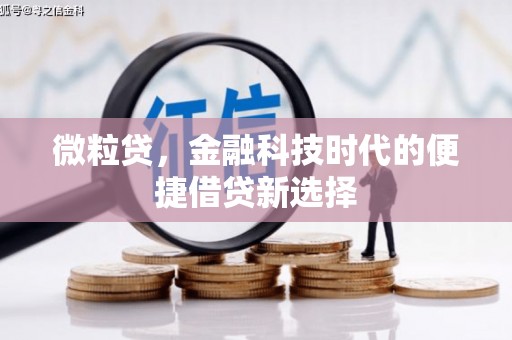 惠东微粒贷，金融科技时代的便捷借贷新选择