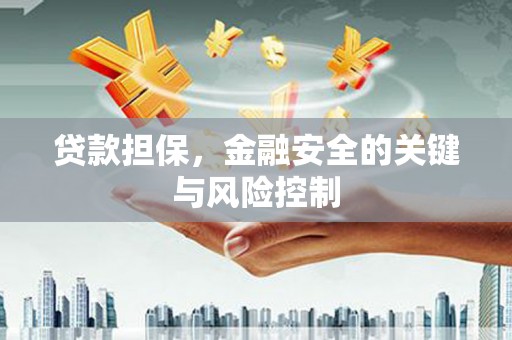 惠东贷款担保，金融安全的关键与风险控制