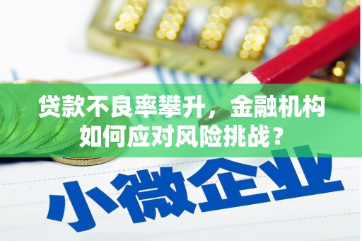 惠东贷款不良率攀升，金融机构如何应对风险挑战？