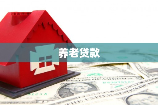 惠东养老贷款