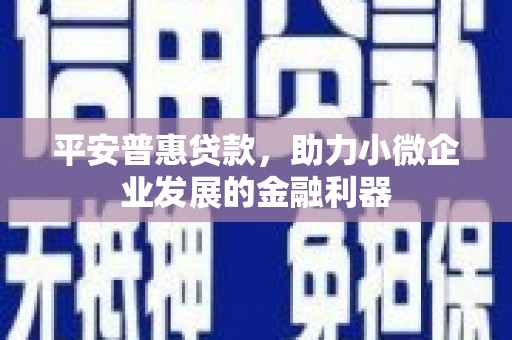 惠东平安普惠贷款，助力小微企业发展的金融利器