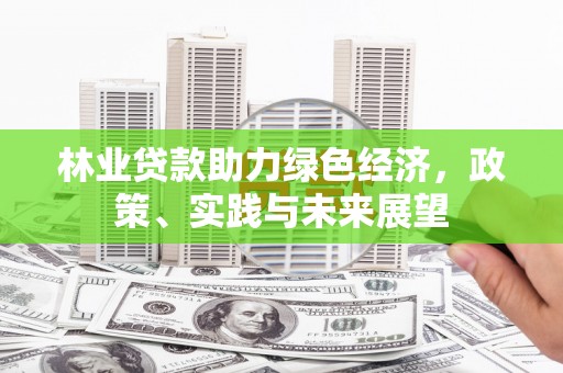 惠东林业贷款助力绿色经济，政策、实践与未来展望