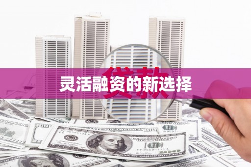 惠东灵活融资的新选择